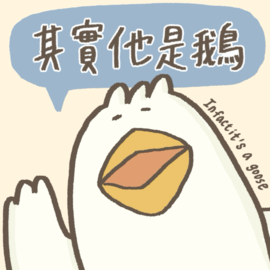 其實他是鵝