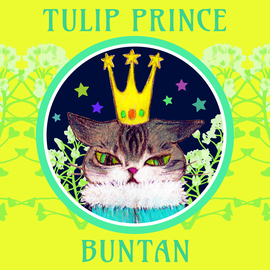 郁金香王子★BUNTAN